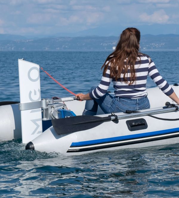Remigo Electric Outboard Motor - Image 2