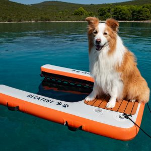 DOG RAMP