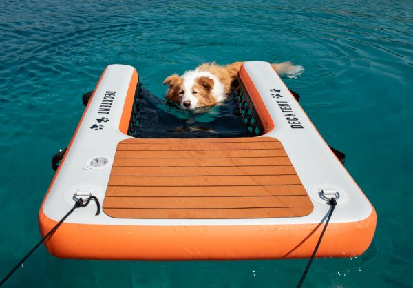 DOG RAMP - Image 3